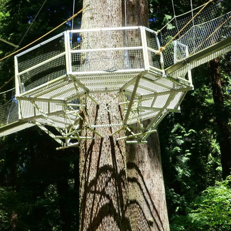 Plataforma para puente colgante instalada en un arbol