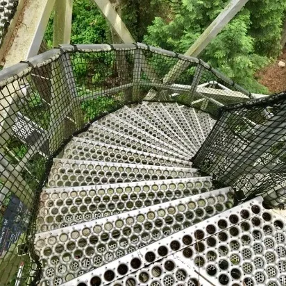 Escalas de pasarela elevada en el bosque. Sistema de cables